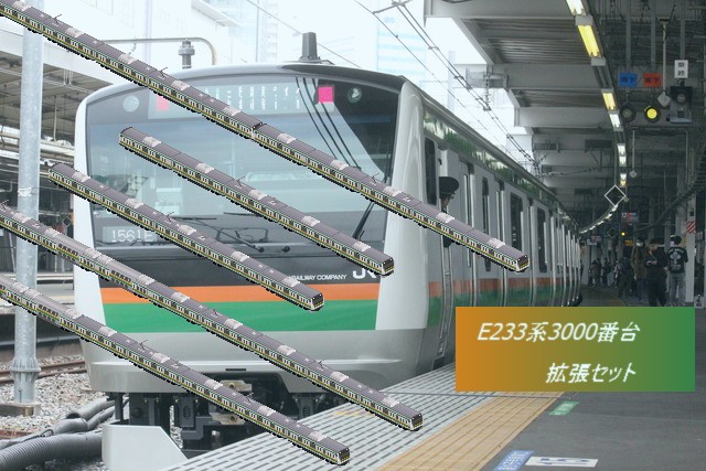 E233系0番台 中央線快速/青梅 五日市線用 2006年～ 豊田車両